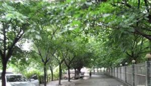 金洲半岛 3室2厅 南 北