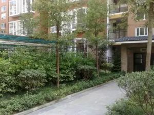 金阳丽景2室1厅南