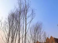 大学城 富力城维多利亚公园五房180万