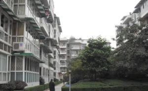 天伦家园3室2厅南北