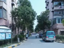 精装修电梯一房一厅,中间楼层,全明户型,近轻轨,交通便利