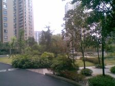 棕榈泉一路之隔 大户型一楼 可开*市和麻将馆