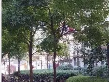 控江东三村低单价近地铁老少皆宜