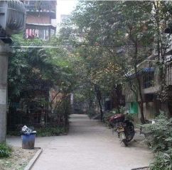 怡福路104号院2室2厅西