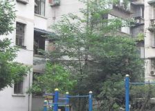 八二新区 2室1厅 西北