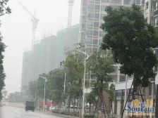 新世纪领居 大四房 东西对流 两梯两户