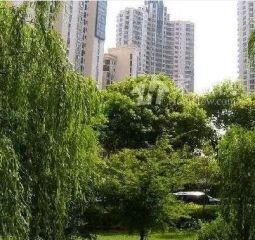 东海花园3室1厅南北