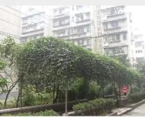 六九小区 2室1厅 东南