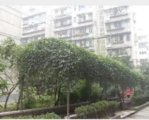 六九小区3室0厅南
