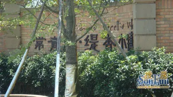 常青藤缇香小镇