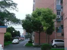 市区公园旁朝南边套一房 位置安静 近地铁 环境好