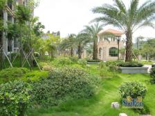 业主诚心出售 近长隆 近轻轨 森林温泉 价格美丽