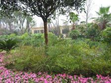 建发天府鹭洲 1室0厅 南