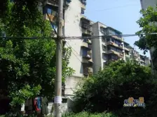 鲤鱼池一村 2室1厅 西南