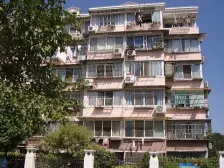 51弄老破小天花板03年房龄绿化好全天能停车近13号线