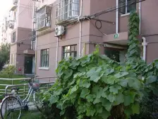 2000年商品房,钢混现浇的,一梯两户,带露台,急售