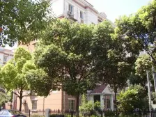 三室两厅,诚意出售,精装近地铁商圈齐全拎包入住