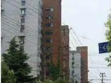 高楼层简装朝南一室户,全天阳光充沛,视野无遮挡,