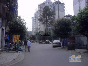 泰丰御园2室1厅东南
