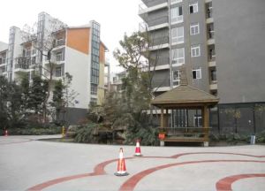 逸水青城兰卡威3室1厅西南