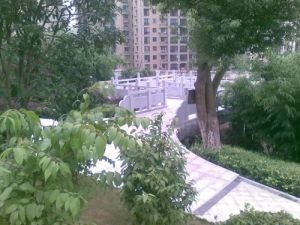 西点公园里3室1厅东南