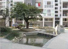 众合北尚 2室1厅 南