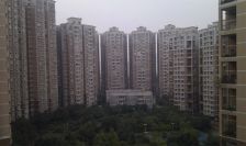 蜀都花园 2室1厅 南