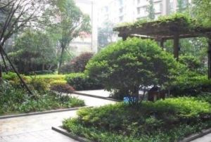 白沙花园2室1厅南北