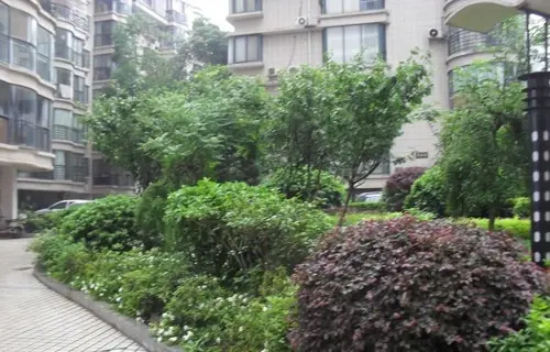 白沙花园