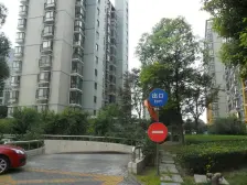 电梯商品复式,空中别墅,金色中环,近轨交