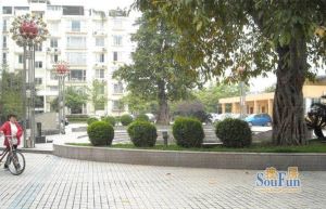 文府苑3室2厅东南西南