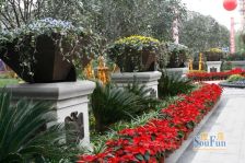 绿地圣路易名邸二期 2室2厅 西