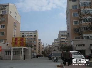 星通花园楼层很好位置佳诚心出售产权清晰