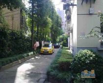 嘉善路品质小区,精装南北通,边套全明户型,向阳、位育和市二
