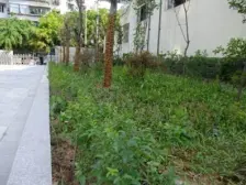 人和 金利大厦二房60万