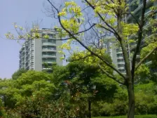 丰庄13号地铁0距离+小区景观房+全南高区采光好+优质房精选