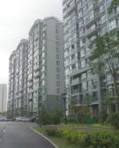 错过在无!飞机户型+边套大花园+地铁600米
