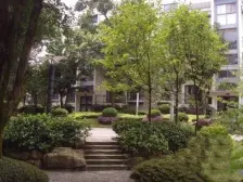 纯南山天然氧吧看江别墅,可装电梯直通车库,无遮挡