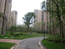 精装南北通+视野采光好+绿地房龄新+三地铁+万达配套好