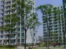 小区前排,中高楼层,采光视野好,看房方便!