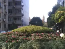 新上标杆好房,业主诚意出售,位置好,停车方便价好谈