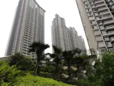 户型方正,采光好,视野开阔,业主诚心出售