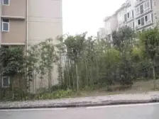 茶园轻轨旁,配套完善,出行方便。