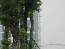 下沉式花园,车库入户,车位在门口;房子在中庭位置