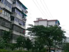 阳光铺满生活每一天,电梯高区双南有钥匙随时可以看