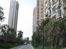 新上:和茂苑南北通透2房自住装修保养好可以拎包入户