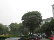 狮山新苑电梯大三房出售,精装修自己住,楼层位置好