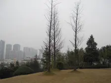 融创御锦 4室1厅 南