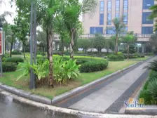 近轻轨,精装三房 生活配套完善,住家舒适 直接入住!