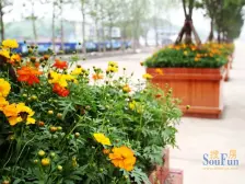 金科廊桥水乡上叠别墅,实得面积大,诚心出售